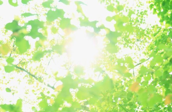 信頼できるリフォーム会社でたった一日で完了完了します